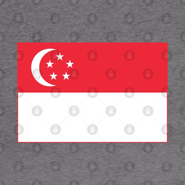 Flag of Singapore by COUNTRY FLAGS